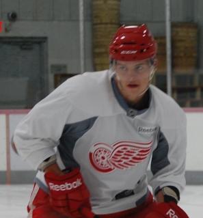 Red Wings Sign Mikael Samuelsson, Jordin Tootoo 